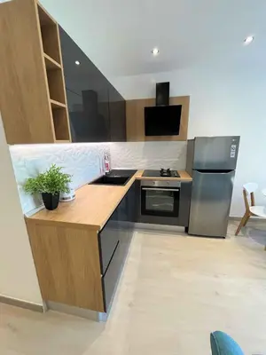Kuhinja ili čajna kuhinja u objektu Apartment in Primosten - Sibenik Riviera 35574
