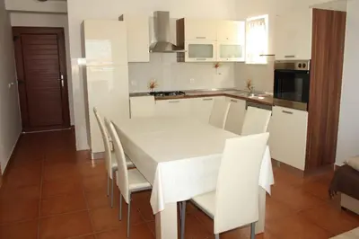 Kuhinja ili čajna kuhinja u objektu Apartment in Primosten - Sibenik Riviera 36376