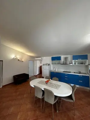 Kuhinja ili čajna kuhinja u objektu Apartments Petrović