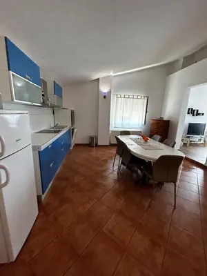 Kuhinja ili čajna kuhinja u objektu Apartments Petrović