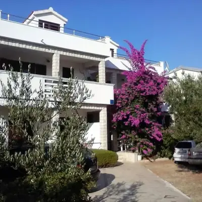 Bugenvila1