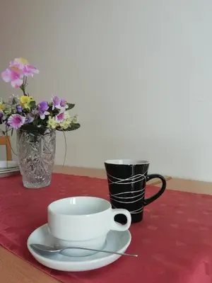 Sadržaji za pripremu kave/čaja u objektu Apartments Vidović