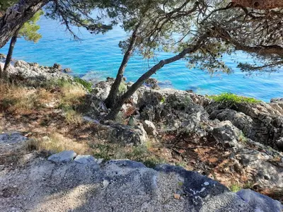 Priroda u blizini apartmana