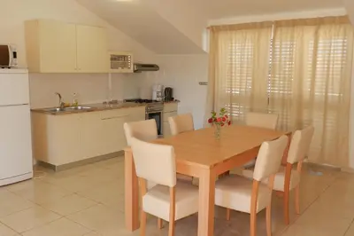 Kuhinja ili čajna kuhinja u objektu Apartments Milka
