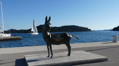 Priroda u blizini apartmana