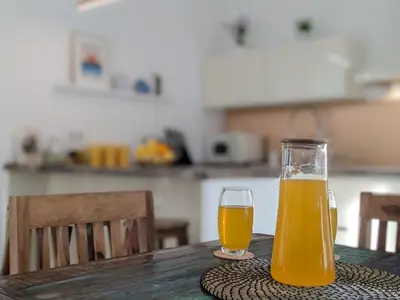 Pića u objektu Vila Burin