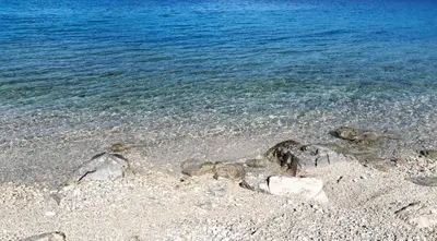 Priroda u blizini vila