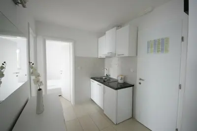 Kuhinja ili čajna kuhinja u objektu Apartments Villa Rosina