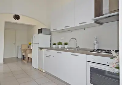 Kuhinja ili čajna kuhinja u objektu Apartments Vuckovic