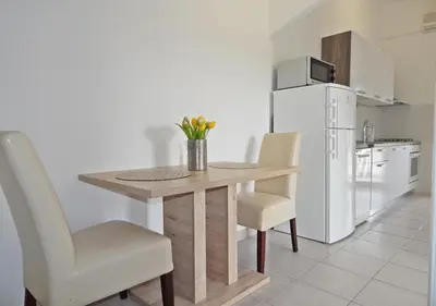 Kuhinja ili čajna kuhinja u objektu Apartments Vuckovic