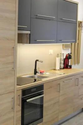 Kuhinja ili čajna kuhinja u objektu Apartman Kristina