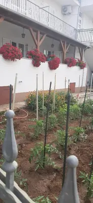 Vrt u objektu Apartments Jopa