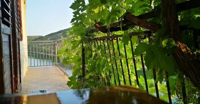 Priroda u blizini apartmana