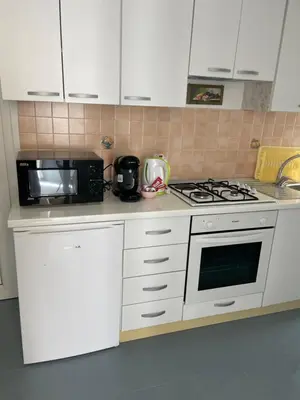 Kuhinja ili čajna kuhinja u objektu Apartments Tina