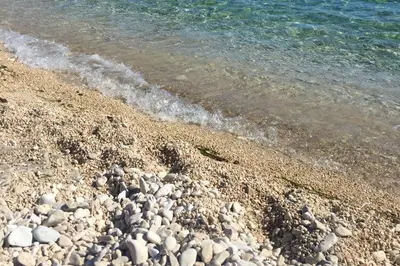 Priroda u blizini apartmana