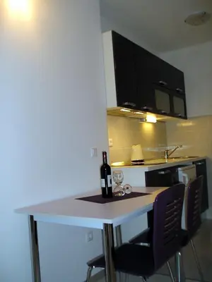 Kuhinja ili čajna kuhinja u objektu Apartments Josipa & Niki