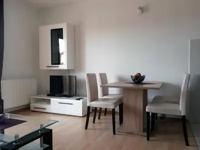 TV i/ili zabavni centar u objektu Apartments Josipa & Niki