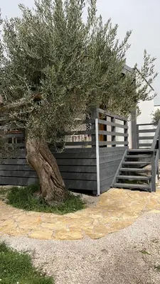 Tlocrt objekta Olive House Pirovac