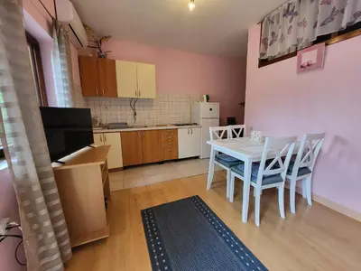 Kuhinja ili čajna kuhinja u objektu Jasna Apartments Central