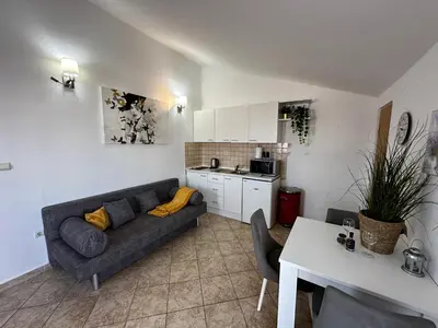 Kuhinja ili čajna kuhinja u objektu Studio Apartman Luka