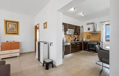 Kuhinja ili čajna kuhinja u objektu Awesome Apartment In Murter