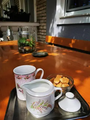 Hrana u apartmanu ili u blizini