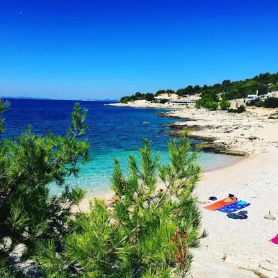 Priroda u blizini apartmana