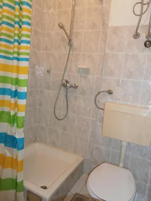 Kupaonica u objektu Apartments & Rooms Tony