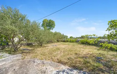 Priroda u blizini vikendica