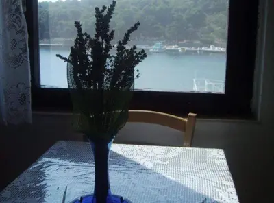 Priroda u blizini apartmana