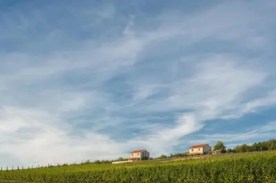 Priroda u blizini vila