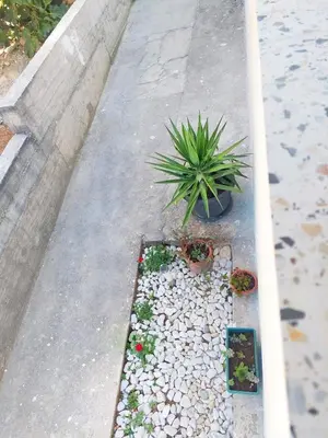 Vrt u objektu House Spark