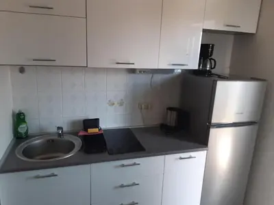 Kuhinja ili čajna kuhinja u objektu Vlado