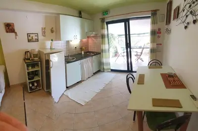 Kuhinja ili čajna kuhinja u objektu Apartments by the sea Murter - 22397