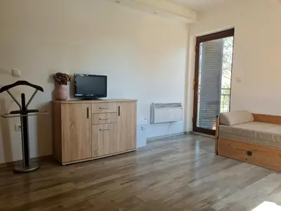 TV i/ili zabavni centar u objektu Big apartmant with free parking