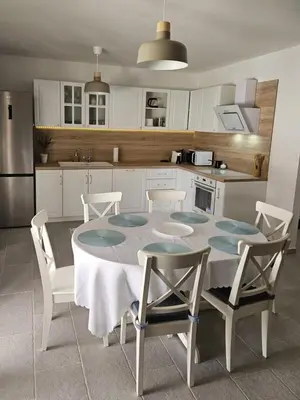 Kuhinja ili čajna kuhinja u objektu Vila Brod