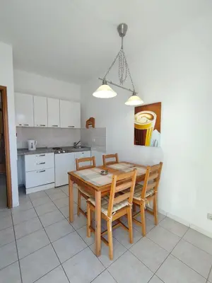 Kuhinja ili čajna kuhinja u objektu Apartman Antonia