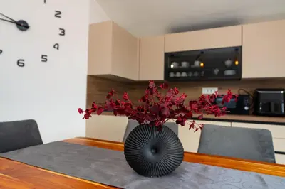 Kuhinja ili čajna kuhinja u objektu Sea View Apartment Betina, Murter