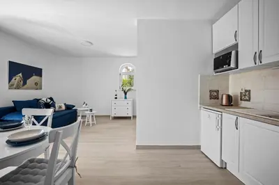 Kuhinja ili čajna kuhinja u objektu Villa Kampanel