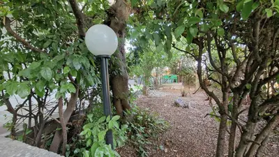 Vrt u objektu Green oasis in the city
