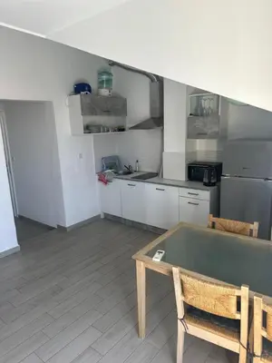 Kuhinja ili čajna kuhinja u objektu Villa Dragic