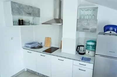 Kuhinja ili čajna kuhinja u objektu Villa Dragic
