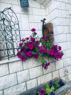 Vrt u objektu Apartmani Linda