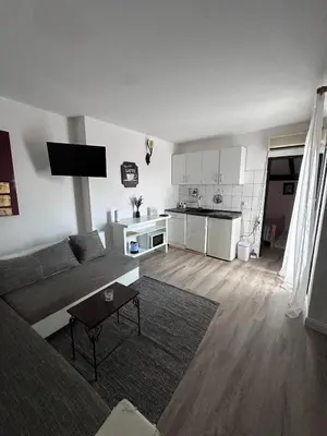 Kuhinja ili čajna kuhinja u objektu Apartmani Linda