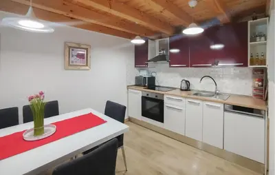 Kuhinja ili čajna kuhinja u objektu Stunning Home In Ljubitovica