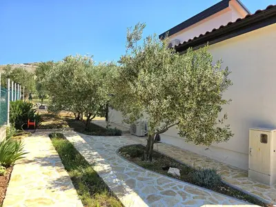 Vrt u objektu Little Big Villa