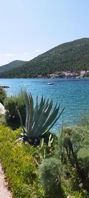 Priroda u blizini apartmana