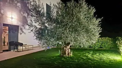 Vrt u objektu Villa S&L Srima Vodice