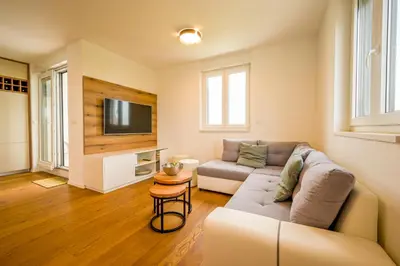 TV i/ili zabavni centar u objektu Apartment Široko