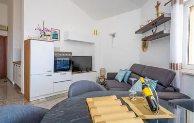 TV i/ili zabavni centar u objektu Amazing Apartment In Sibenik